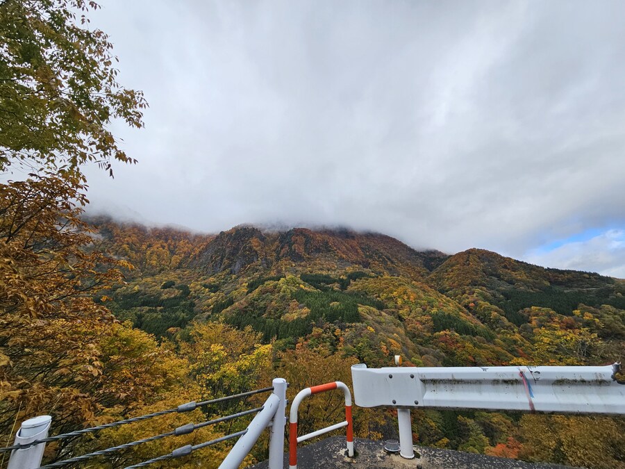 단풍과 이끼. 니가타 9박10 여행 - 3_7.jpg