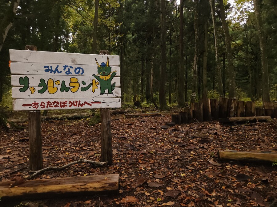 단풍과 이끼. 니가타 9박10 여행 - 3_12.jpg