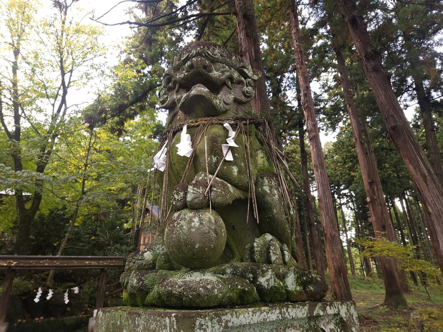 단풍과 이끼. 니가타 9박10 여행 - 3_20.jpg