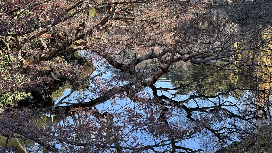 어머니와 단둘이 일본 여행. (※초스압 & 데이터)_127.jpg