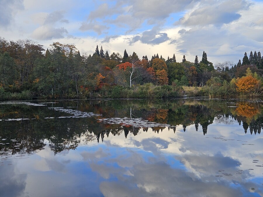 단풍과 이끼. 니가타 9박10 여행 - 3_26.jpg