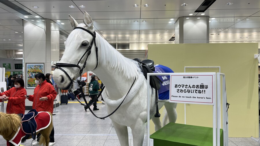 어머니와 단둘이 일본 여행. (※초스압 & 데이터)_265.jpg