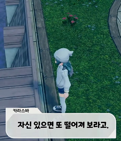 버미육)포켓몬 ZA 디테일_23.jpg