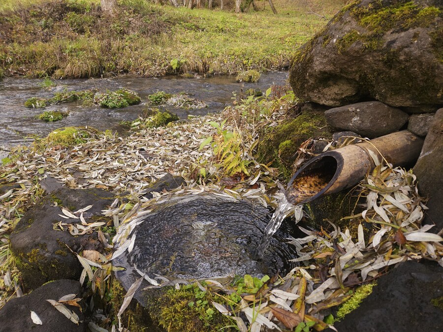 단풍과 이끼. 니가타 9박10 여행 - 3_38.jpg