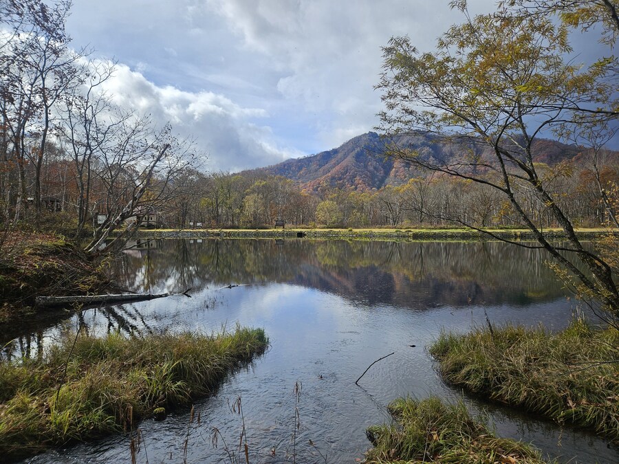 단풍과 이끼. 니가타 9박10 여행 - 3_39.jpg