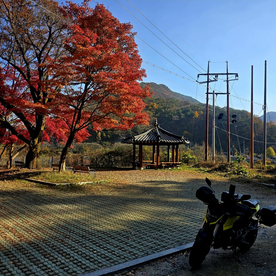 게으른 악어_7.jpg