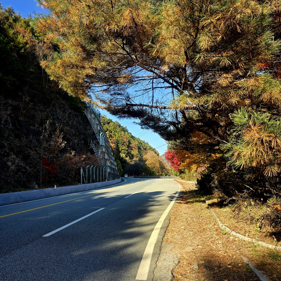 게으른 악어_6.jpg