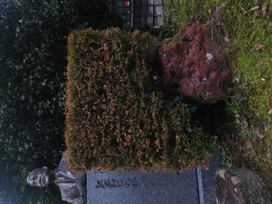 단풍과 이끼. 니가타 9박10 여행 - 3_58.jpg