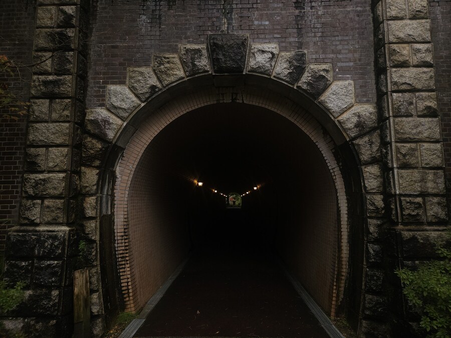 단풍과 이끼. 니가타 9박10 여행 - 4_3.jpg