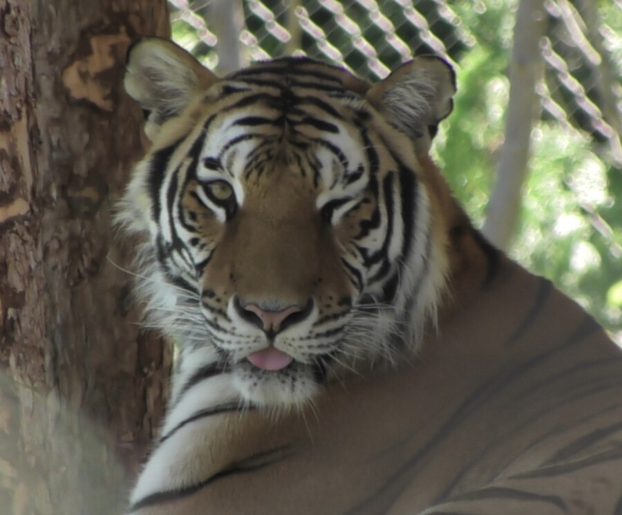 역사) 임진왜란의 안티히어로...jpg_6.png