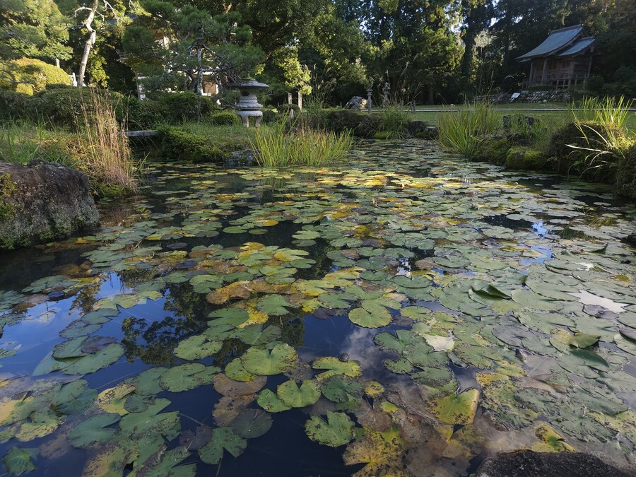 단풍과 이끼. 니가타 9박10 여행 - 4_48.jpg