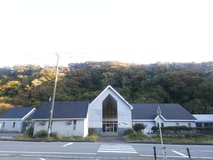 단풍과 이끼. 니가타 9박10 여행 - 4_52.jpg