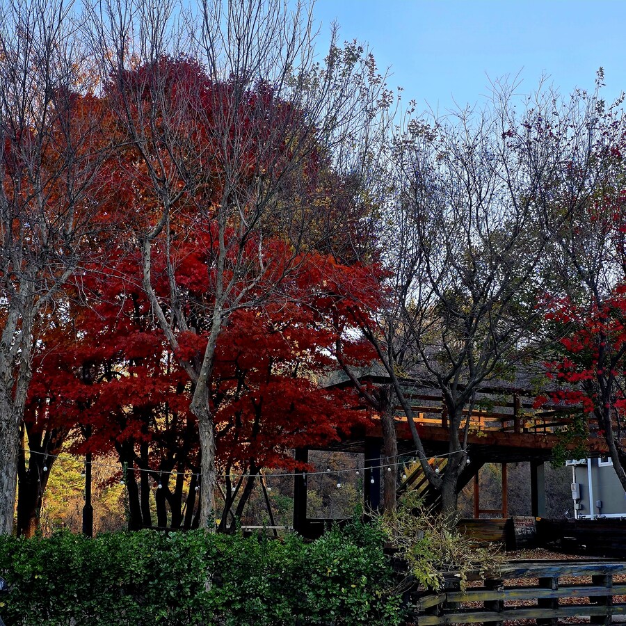 게으른 악어_16.jpg