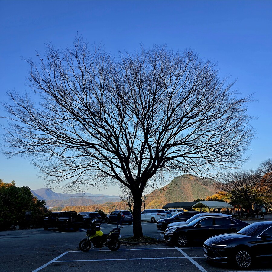 게으른 악어_19.jpg