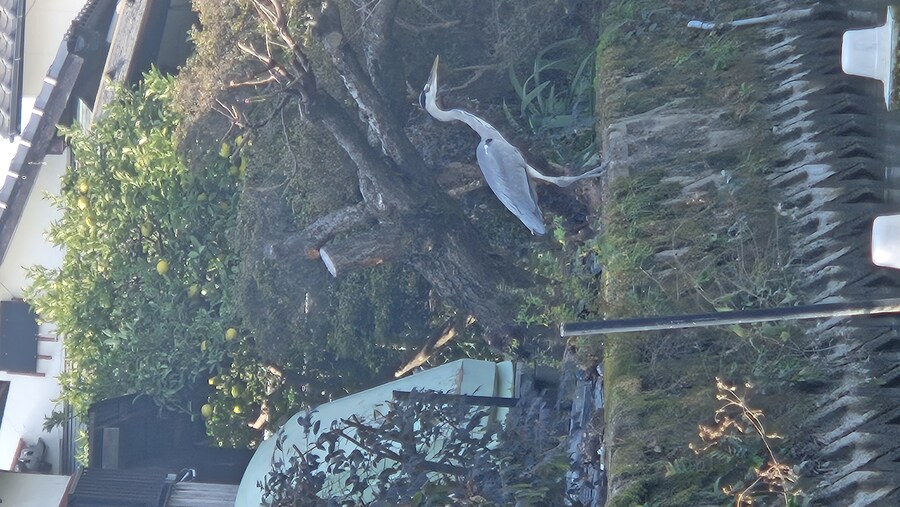 후쿠오카에 왔습니다 이틀차_7.jpg