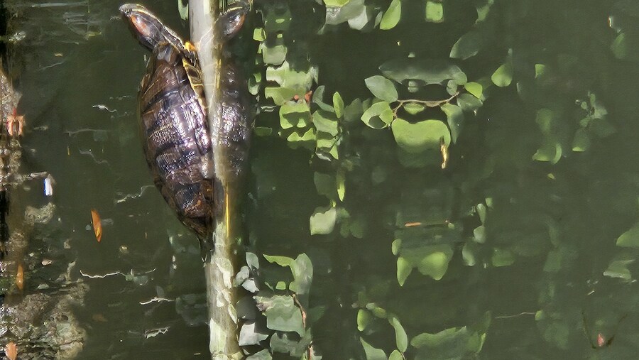 후쿠오카에 왔습니다 이틀차_8.jpg