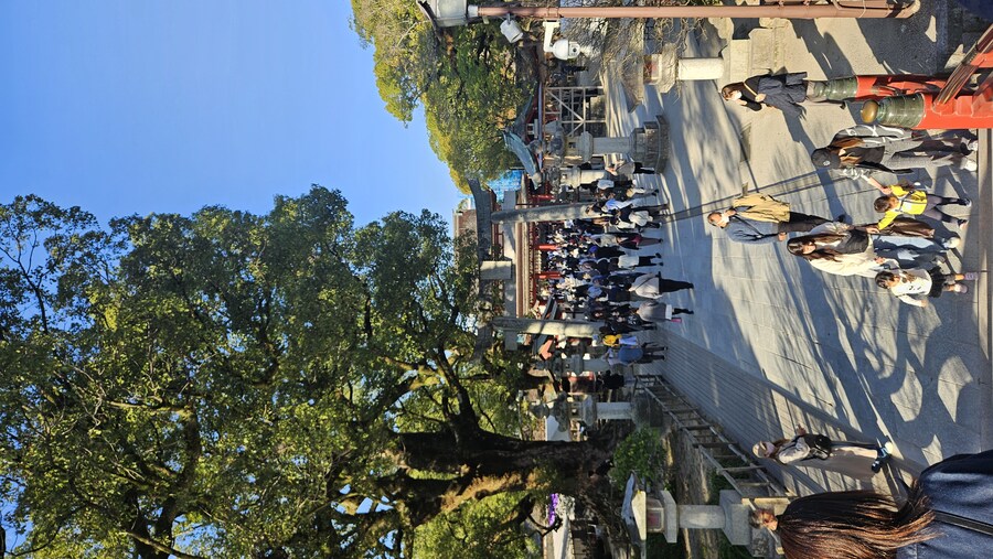 후쿠오카에 왔습니다 이틀차_13.jpg