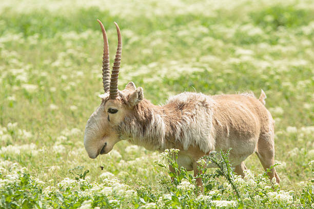 카제나) 사실 이 게임이 불쾌한 진짜이유는 이도저도 아니라서임_1.jpg