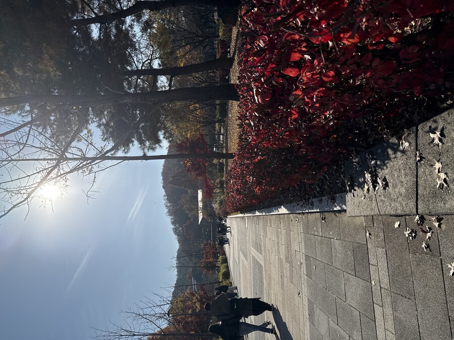 서울대공원 왔네여_1.jpg