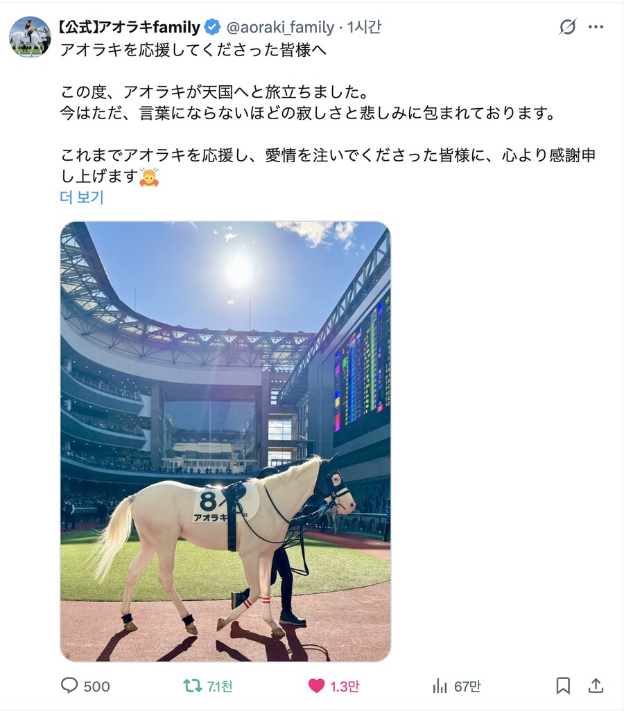 말딸/경마)낮잠 자다가 지금 일어났는데 슬픈 소식을 들음_1.png