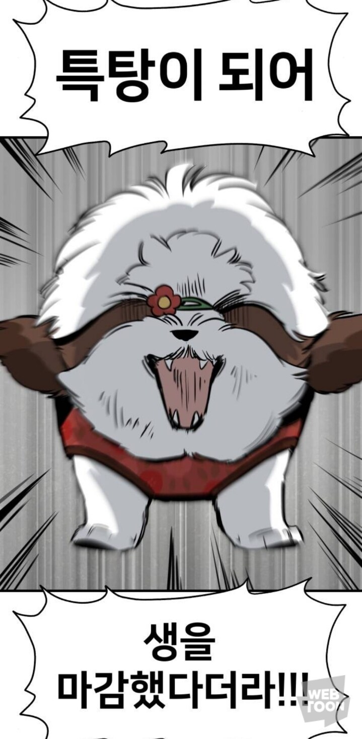 웹툰)어느 개의 매우 나쁜 말_3.jpg