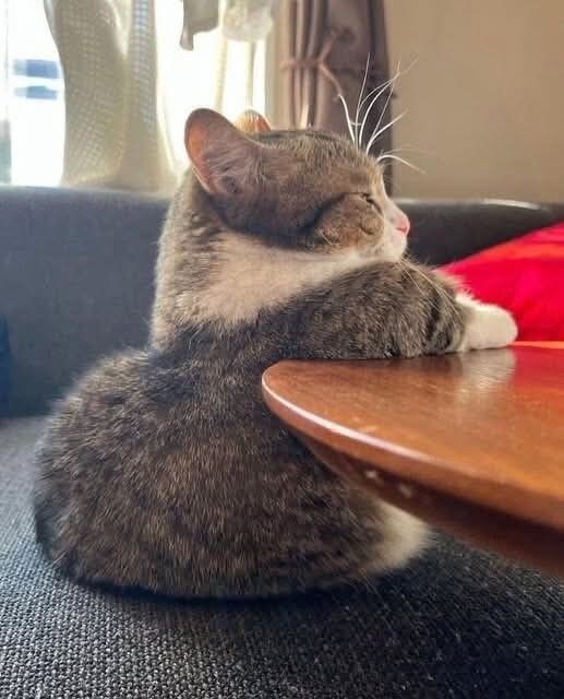 내가 이렇게 극악무도하고 끔찍한 범죄자다_1.jpg