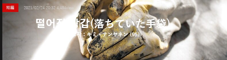 기기괴괴)떨어진 장갑_2.png