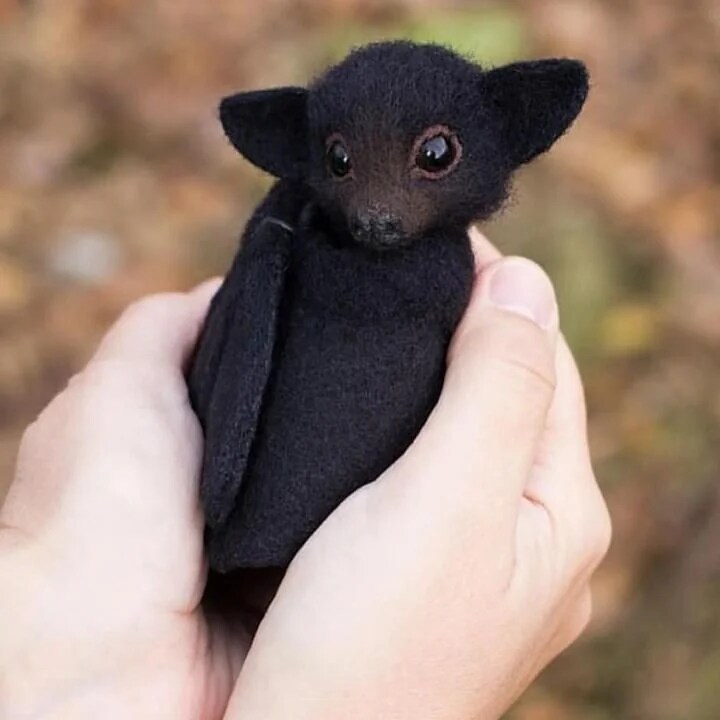 포켓몬에서 직관성 개나 줘버린 타입_2.png