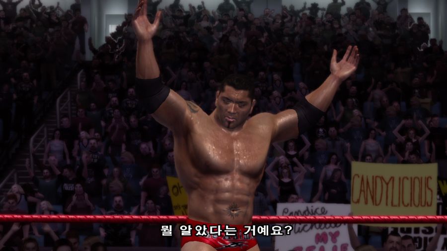 WWE 스맥다운vs로우 2007_35.jpg