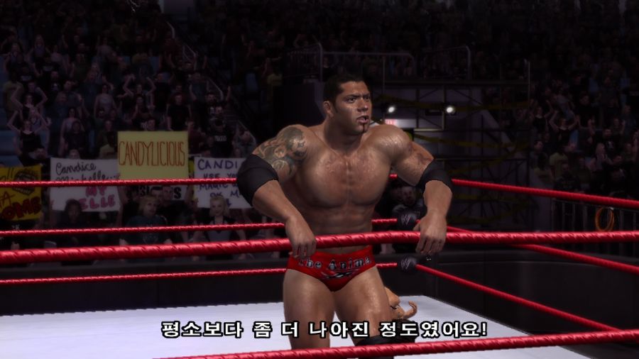 WWE 스맥다운vs로우 2007_37.jpg