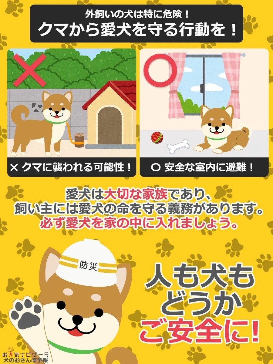 최근 곰들이 개를 많이 물어가자 일본 당국 권고 사항_1.jpg