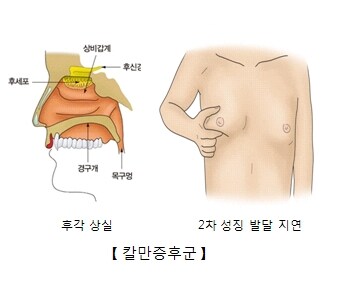유전자 분석 결과 히틀러는 짝불알에 소추_2.jpg