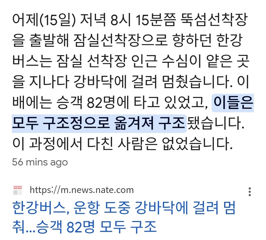 한강버스, 이미 전문가들이 수차례 경고했었음_4.jpg