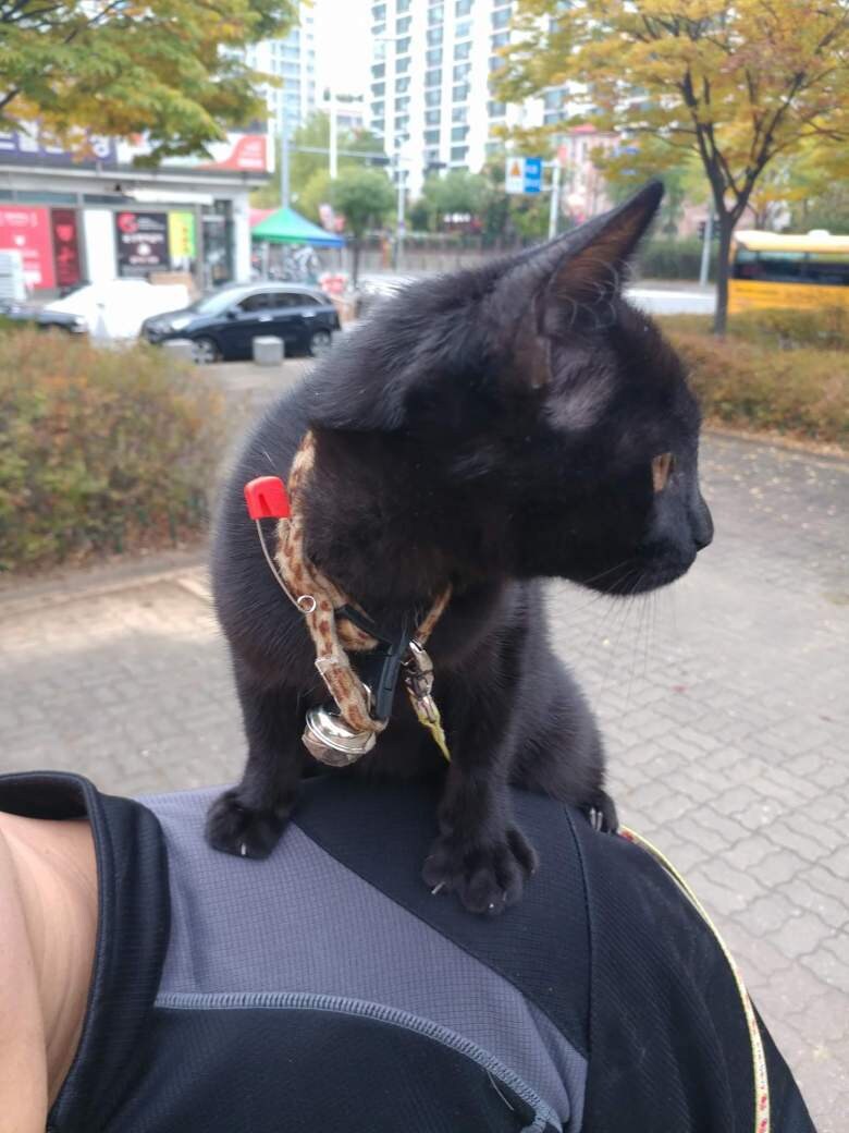 이시간에는 이런거 올리는게 맞겠지?_3.jpg