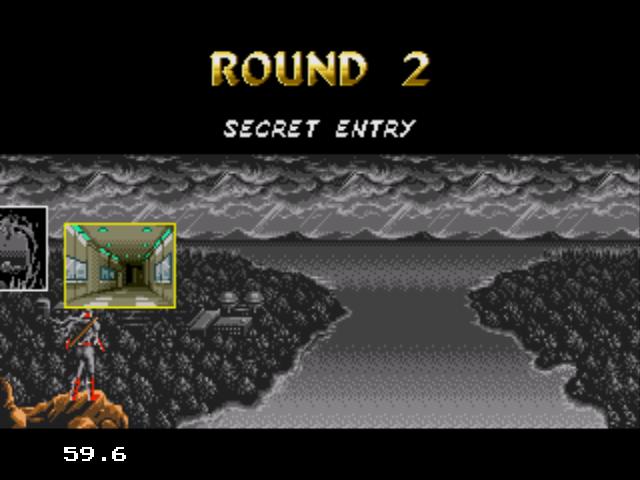 THE SUPER SHINOBI 2_1.jpg