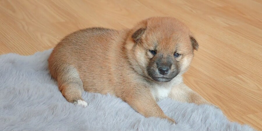 아침부터 보이는 유튜브 썸네일_1.jpg