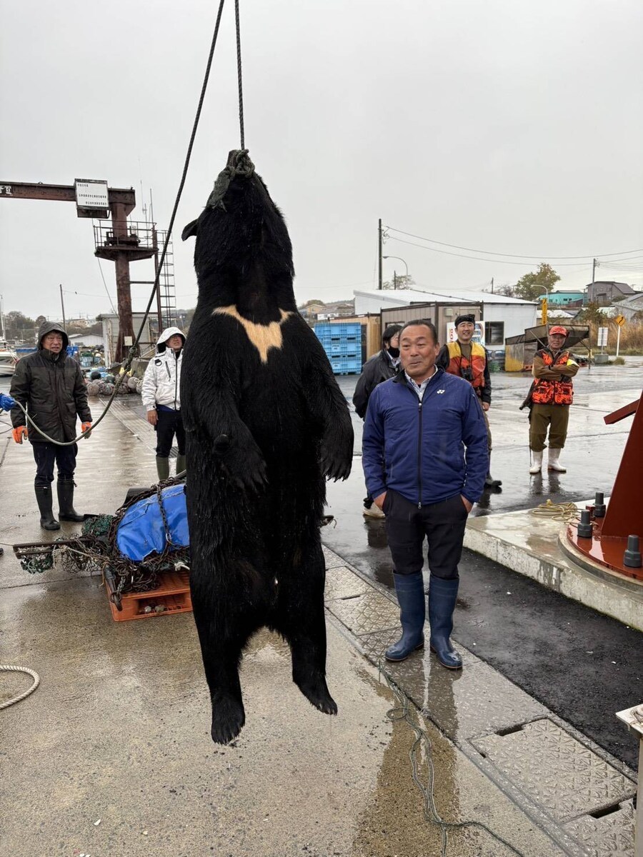 요즘 부쩍 늘어나고 있다는 일본의 곰_3.jpg