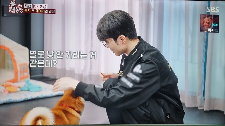 동물농장 근황_3.jpg