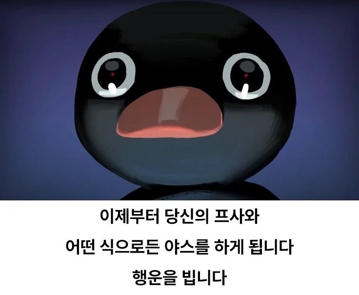 이 글을 본 당신은 야스를 하게됩니다_1.jpg