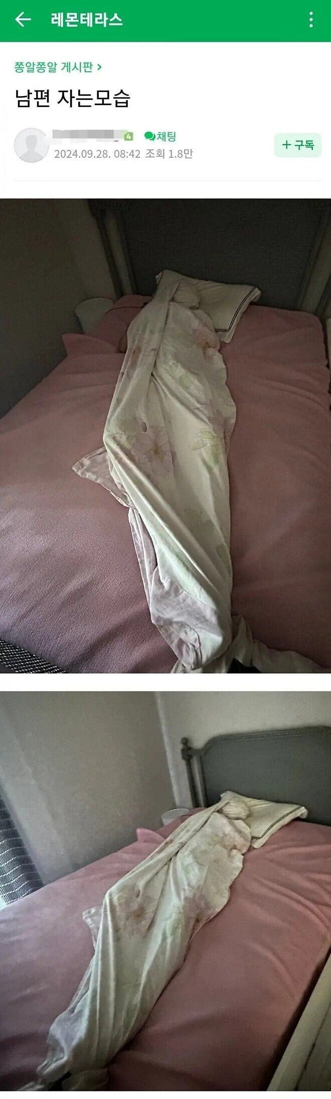 남편 자는 모습이 궁금한 아내 jpg._1.jpg