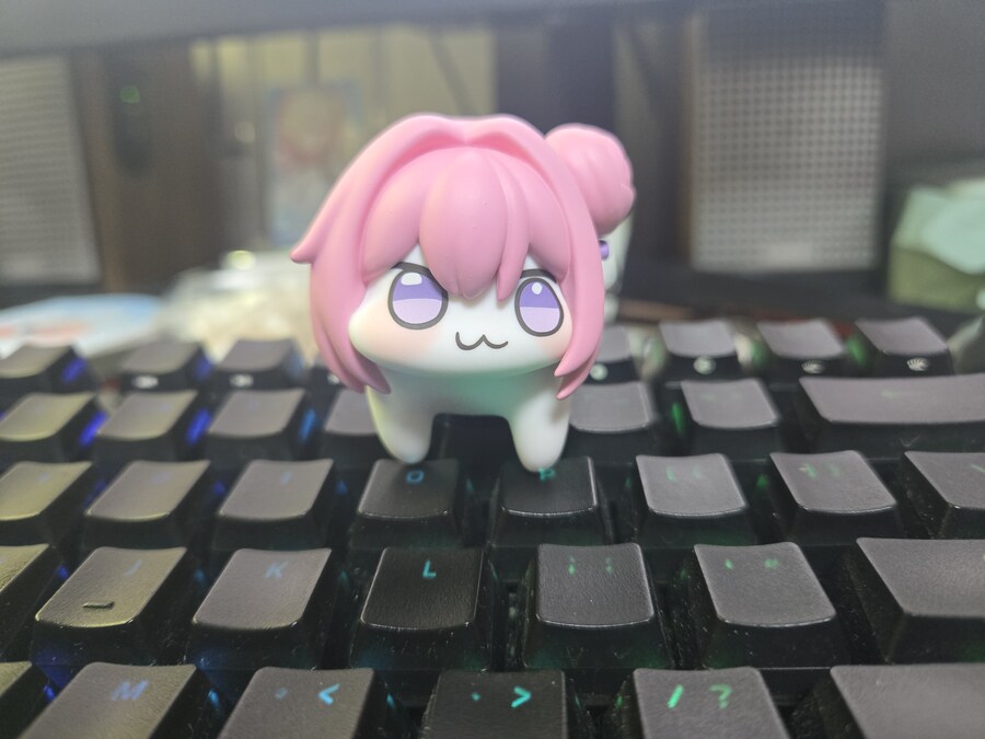 회사 책상에 도로롱 둬도 될까?_1.jpg