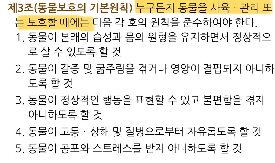 길고양이 밥주는 캣맘들이 자주 인용하는 “동물보호법 제3조_3.jpg