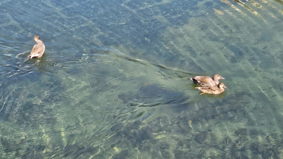 후쿠오카에 왔습니다 4틀차+한국에 왔습니다_2.jpg