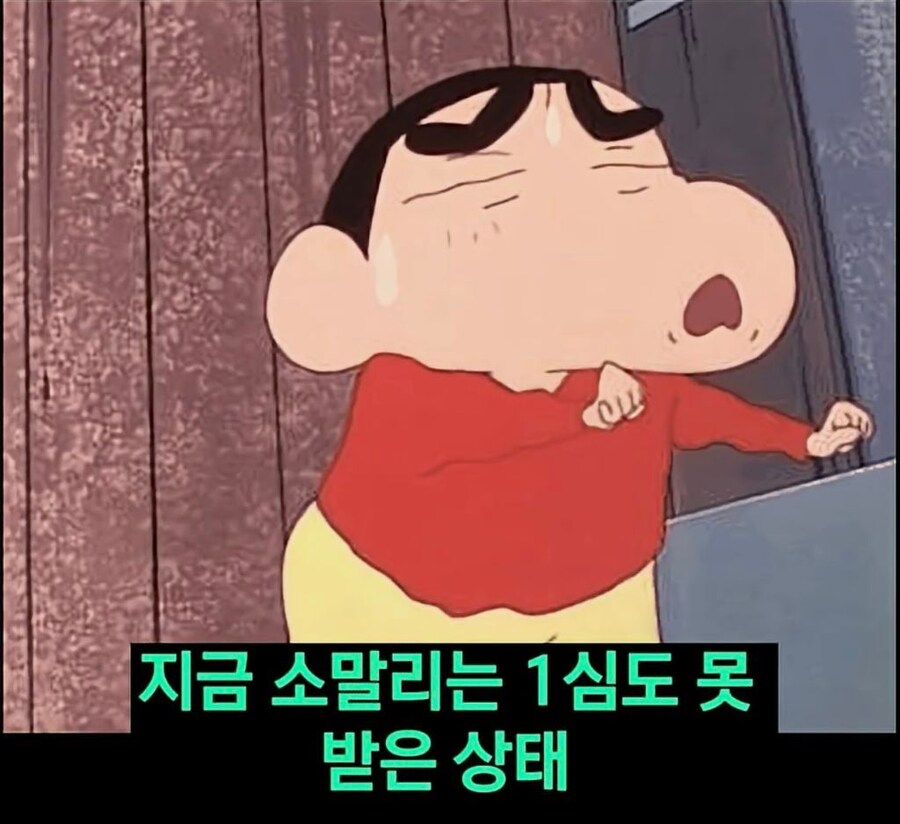 조니 소말리 근황.jpg_15.jpg