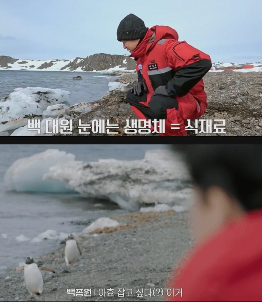 남극에서 개발력 치솟는 백종원_3.png