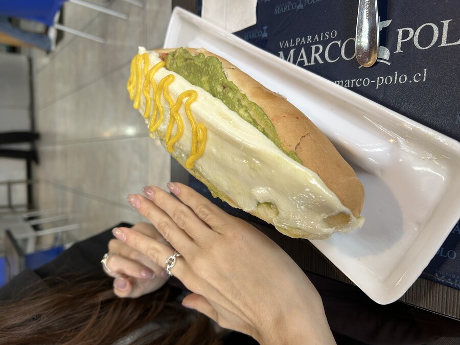 칠레 처갓집 방문기 (4) 10-12일차 : 발파라이소 / 비냐 델 말_9.jpg