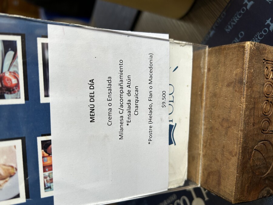 칠레 처갓집 방문기 (4) 10-12일차 : 발파라이소 / 비냐 델 말_6.jpg