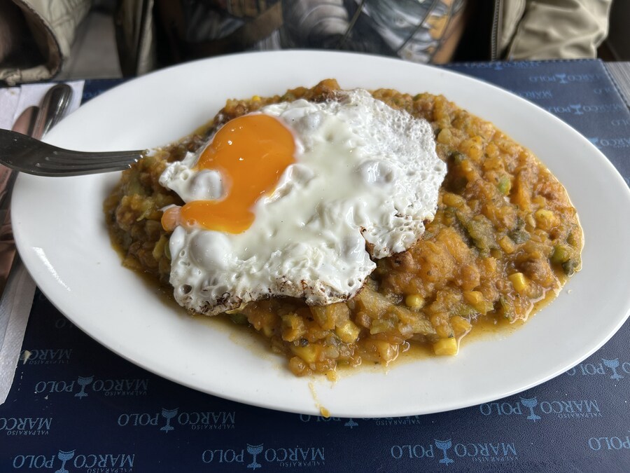 칠레 처갓집 방문기 (4) 10-12일차 : 발파라이소 / 비냐 델 말_10.jpg