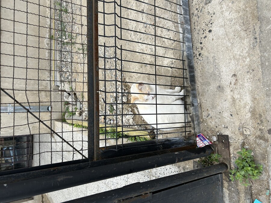 칠레 처갓집 방문기 (4) 10-12일차 : 발파라이소 / 비냐 델 말_53.jpg