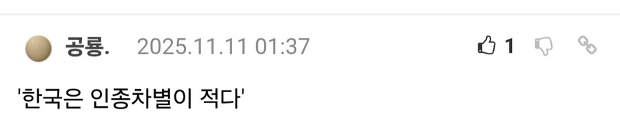 최근 한국 군대에서 다문화 장병들이 당하는 인종차별.jpg_33.jpg